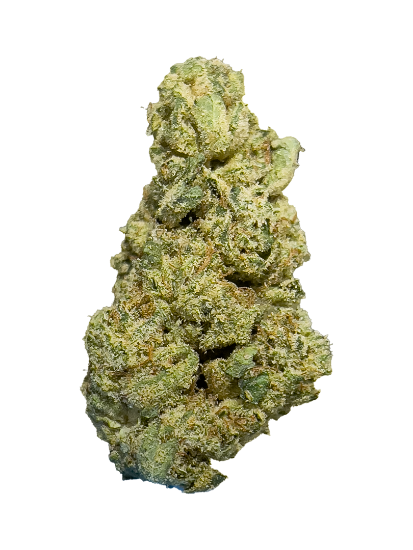 Cheap Prerolls - GG #4 - Indica - 1.5g - 43.2% High THCa Flower from Stewart Hemp, seen enlarged for trichome coverage