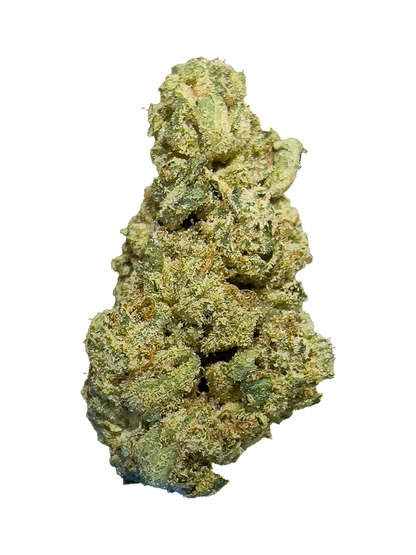 Cheap Prerolls - GG #4 - Indica - 1.5g - 43.2% High THCa Flower from Stewart Hemp, seen enlarged for trichome coverage