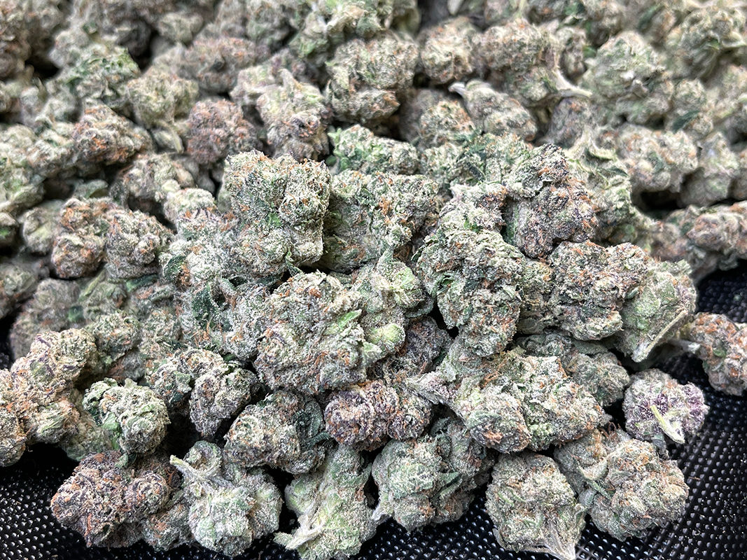 Cheap Prerolls filled with 1.5 grams of YaYa Sativa - 28.12% - 1 Preroll, from Stewart Hemp, seen enlarged for trichome coverage