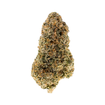 Cheap Prerolls of Zerealz Indica Strain - 31.69% - 1 preroll made from the sticky bud, as seen enlarged