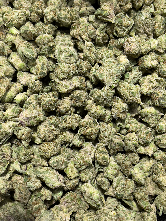 Cheap THCa Prerolls - Candy Gas - Hybrid - 27.88% -1 Preroll @ Stewart Hemp filled with choice flower, seen in pounds #smokeup