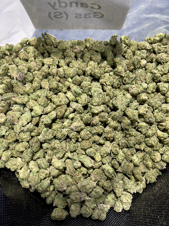 Cheap THCa Prerolls - Candy Gas - Hybrid - 27.88% -1 Preroll @ Stewart Hemp filled with choice flower, seen in pounds #smokeup