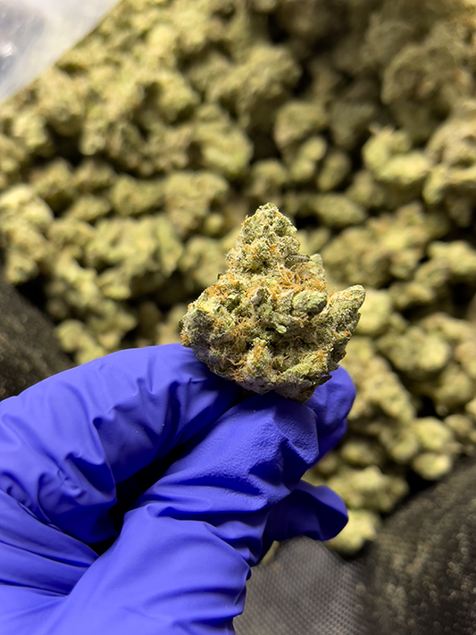 Key Lime Pie THCa Flower - Indica Strain - 39.87% image 0