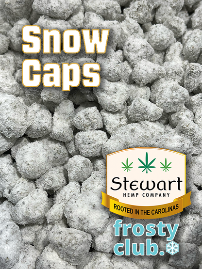 Knockout Infused Prerolls - 1.6g are filled with OG Snow Caps Hybrid Strain - 79.75% from Stewart Hemp feature sticky bud, seen in pounds #smokeup