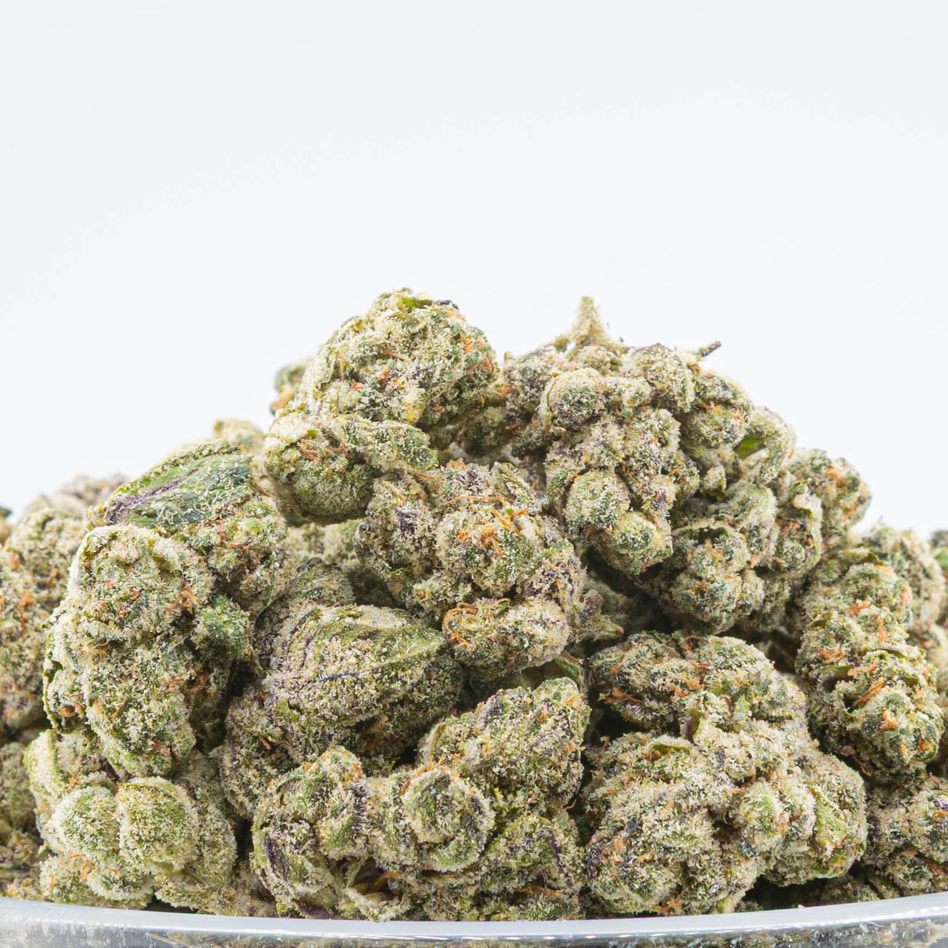 Knockout Infused Prerolls - 1.6g are filled with OG Snow Caps Hybrid Strain - 79.75% from Stewart Hemp feature sticky bud, seen in pounds #smokeup