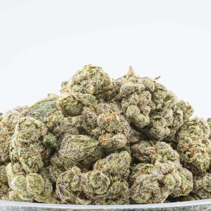 Knockout Infused Prerolls - 1.6g are filled with OG Snow Caps Hybrid Strain - 79.75% from Stewart Hemp feature sticky bud, seen in pounds #smokeup