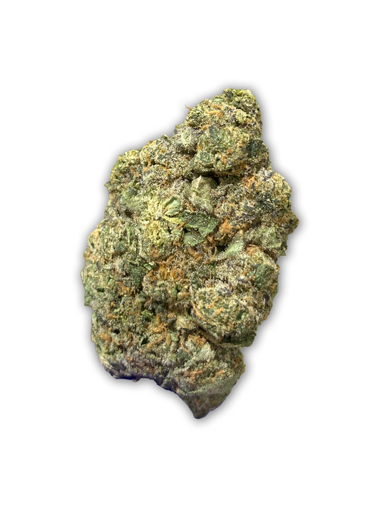 A big, beautiful bud of Mafia Funeral - Hybrid Strain - Exotic THCa Flower - 31.06%