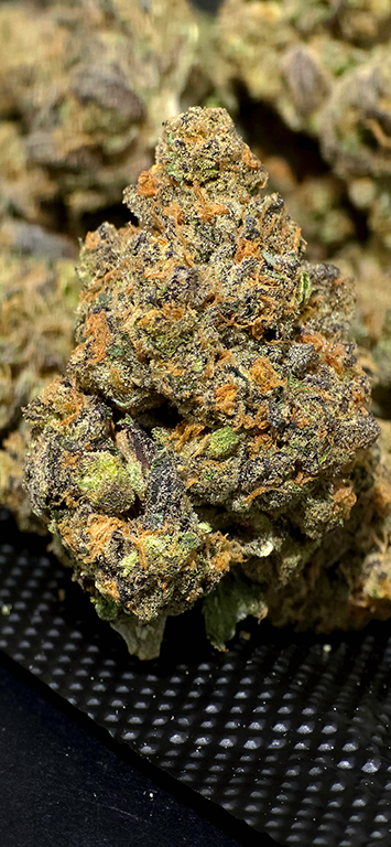 Purple Panty Dropper Indica Strain Exotic High THCa Flower from Stewart Hemp with 37.46% potency, pictured here enlarged #smokeup