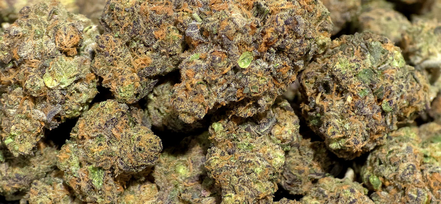 Purple Panty Dropper Indica Strain Exotic THCa Flower with 37.46% potency, pictured here in pounds #smokeup