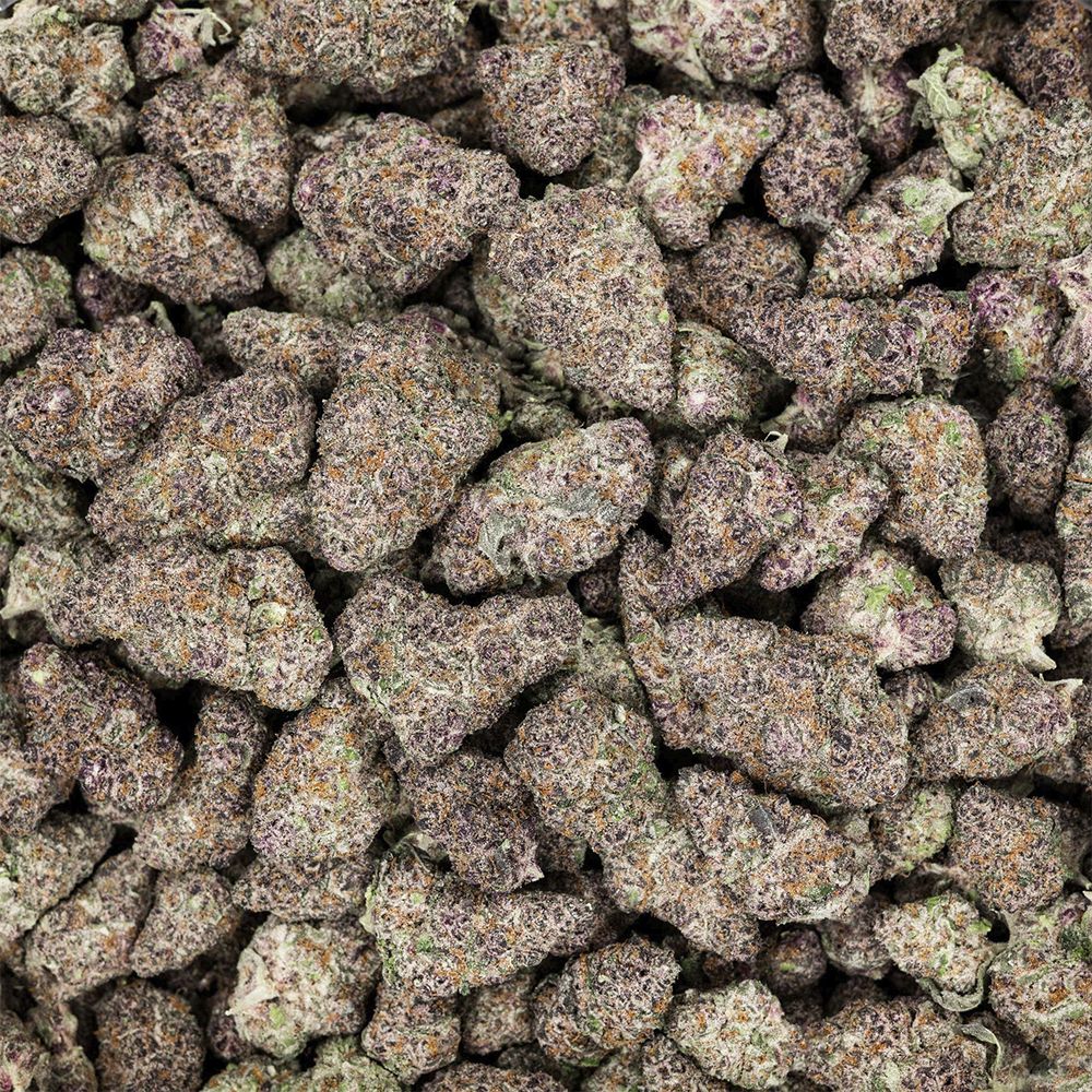 Revelry Premium Indoor THCA Pre-Rolls | 0.5g | 7pc Pack