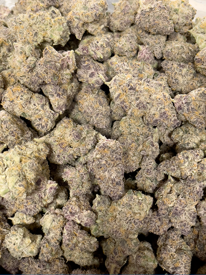 Super Boof Sativa Premium THCa Flower with 32.34% potency, pictured here in pounds, from Stewart Hemp.