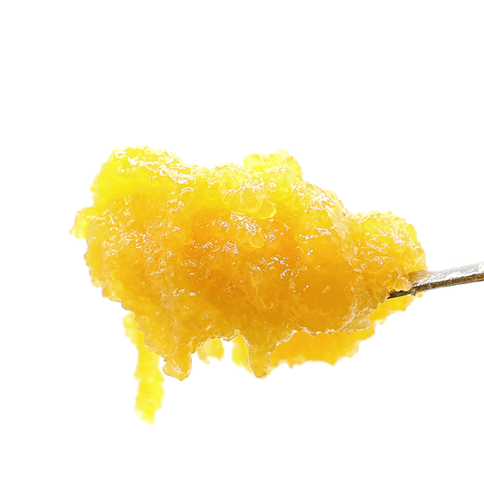 Wonderbread  Hybrid Strain THCa Dabs, from Stewart Hemp, delivers on Live Resin Badder goodness with a whopping high 97% THCa potency, pictured here enlarged and loaded on a dabber.