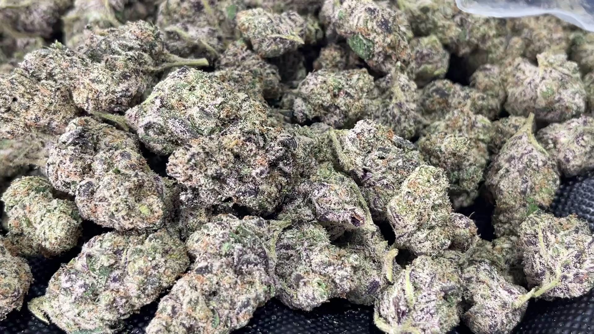 Pink Pineapple Sativa Strain - High THCa Flower - 36.52% from StewartHemp.com THE MOVIE!